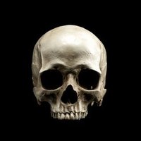 Heinrich Hizinger (@hhizinger) 's Twitter Profile