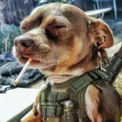 Pina_Libre's profile picture. All things in moderation. Family, Life, Liberty and the Pursuit of Happiness.