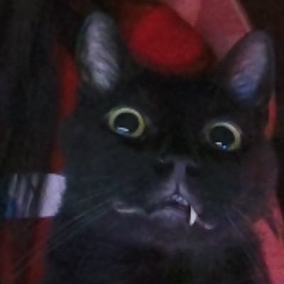 Suzan, or just Susさんのプロフィール画像