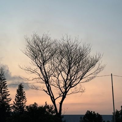 tkniktbuhmnusia's profile picture. 