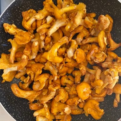 DearRedkat's profile picture. 