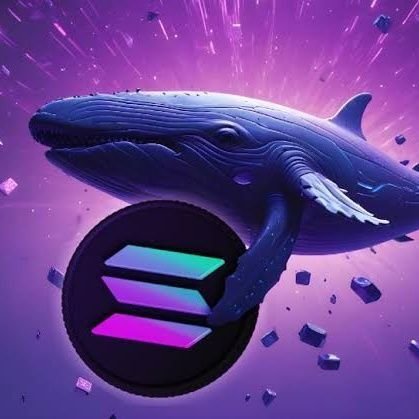 Welcome To Official $Whale SOL Support Team.
Having Any Types Of Issues And For Your
Token Claim? Contact Us Via DM 📥📥