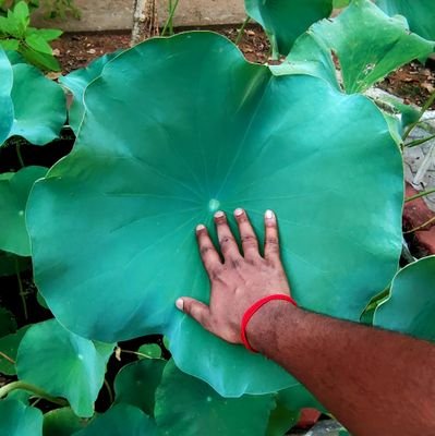 ADMK 🌱 MGR -AMMA-EPS
Edapadi K Palanisamy Ayya✨
World🌎 Native tree planter
விதைத்தவன் உறங்கினாலும், விதைகள் ஒரு போதும் உறங்குவதில்லை