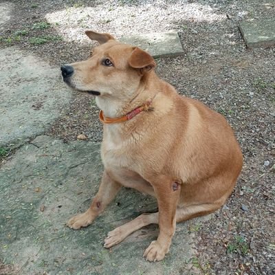 JKYing23's profile picture. ~Ying~ MCMXC 💜 | TW 1113K7​ 👑  | Quinies is best | Sone | 🌵🍵🐶⚽ บอลไทย วอลเลย์บอล แบดมินตัน