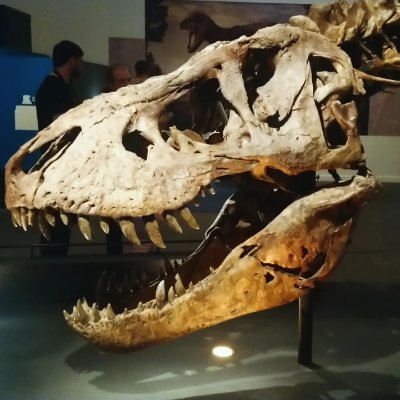 JackL Profile