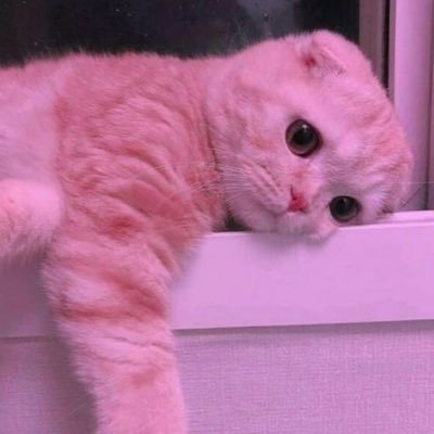 ᵉᵐᵐᵃさんのプロフィール画像