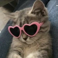 lei, fRPh 2025 (@elixophyllin_) 's Twitter Profile