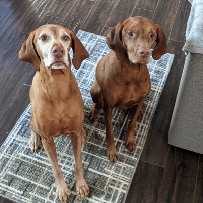 fishhawkeye's profile picture. Dog lover, beach lover, beer lover