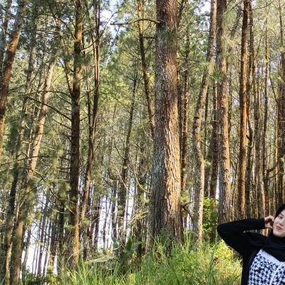 mwetbowl's profile picture. 