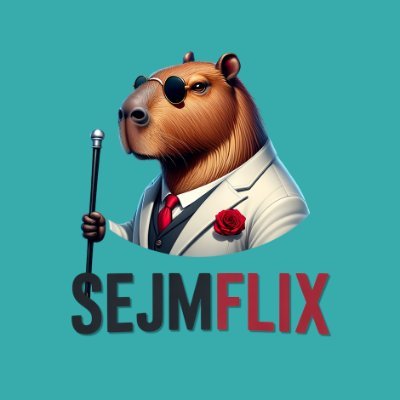 Sejmflix_com's profile picture. „Polska – tutaj wszystko jest możliwe!”