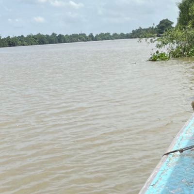 Gaemy555206's profile picture. 