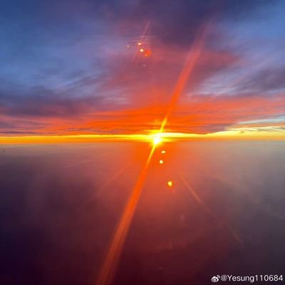 daisy_flow88's profile picture. not bio yet