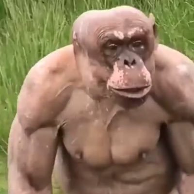 woshikauu's profile picture. nada nesse perfil é real.