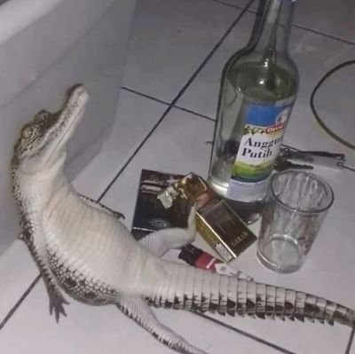 johnconnoooor's profile picture. Currently undergoing maintenance.