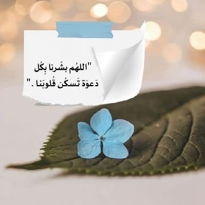 ‏لم نُخلق للبقاء .. فأصنع لروحك أثرًا طيبًا يبقى من بعدك 🍃