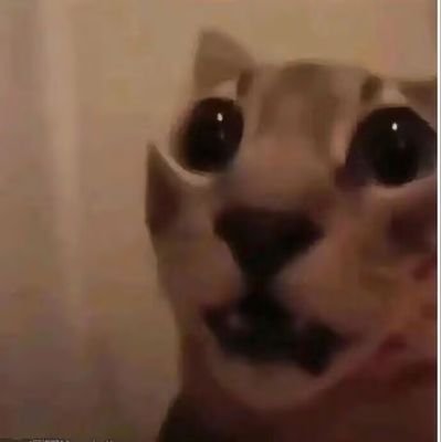 DBOY74817626's profile picture. Like strange and interesting things:)