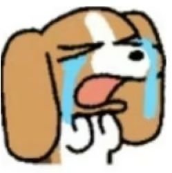 CyuA.さんのプロフィール画像