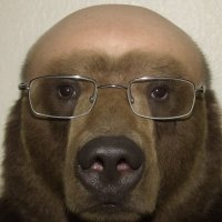 Bearx007 (@turbo04421773) 's Twitter Profile