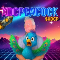 XDCPeacock (@xdcpeacock) 's Twitter Profile