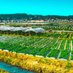 LT Local Farmers (@lt_farmers) Twitter profile photo LT Local Farmers (@lt_farmers) Twitter profile photo