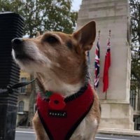 Jools (@jools_orca) 's Twitter Profile Photo Jools (@jools_orca) 's Twitter Profile Photo