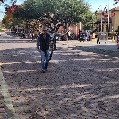 adccampa's profile picture. 