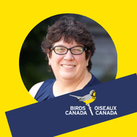 Kathy Jones (she/her) (@volunteer4birds) 's Twitter Profile Photo Kathy Jones (she/her) (@volunteer4birds) 's Twitter Profile Photo