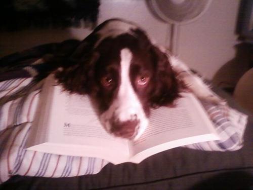 staceelinn's profile picture. Be the change you want to see in the world.
Gandhi
My life really does revolve around working out and my dog.