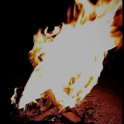 havaaaaaaal's profile picture. عاشق دخترا.
فالو=بک