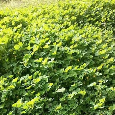 acp34120's profile picture. 