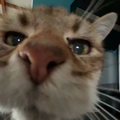 BenoitD1's profile picture. Entrepreneur tendance Geek