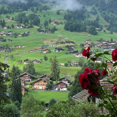 EiriuVrtz's profile picture. ひそかに努力した日々を忘れません。