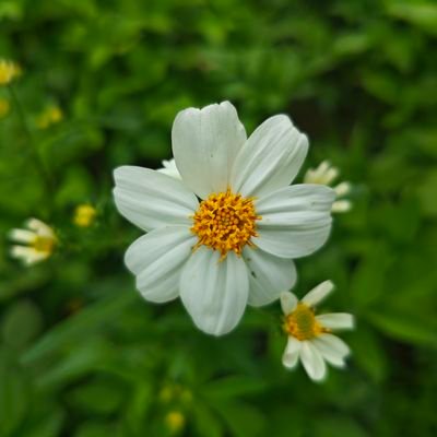 Paiqai305's profile picture. $btc $ETH $DOGE holder

Spacecoin Cadet 🛰️