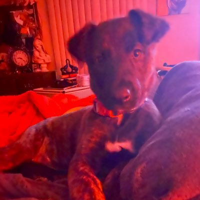 ifuyozuita39557's profile picture. my goal is become a software developer   I’m learning how to code.