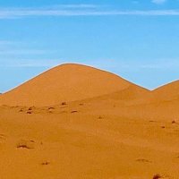 Niko (@nikoonlygame) 's Twitter Profile