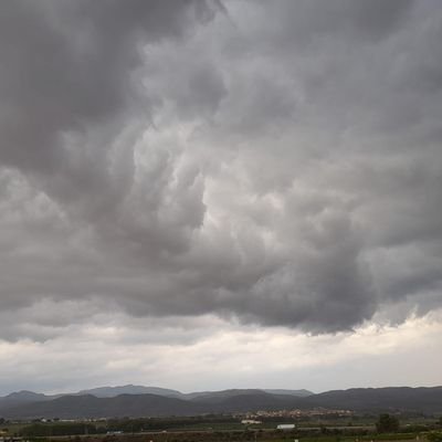 pitusi69's profile picture. Grandes cambios en mi Vida!!!!!!!!!!