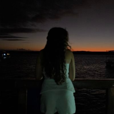 PieSobral's profile picture. 🇻🇦🇻🇦