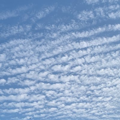 Muhammed525025's profile picture. 