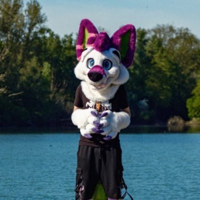 railionwol4224's profile picture. Hi! I'm railionwolf! I'm a Content Creator / Professional Femboy and Freelance Artist + Animator 💙
My videos are focused on furry related topics