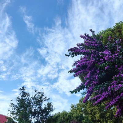 Kaberjim's profile picture. 🩷