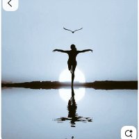 Muzhgan Rahmani (@m_rahdreams) 's Twitter Profile