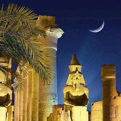 Yasser37780687's profile picture. لا الله إلا الله وحده لا شريك له ...تحيا مصر تحيا مصر 
تحيا مصر