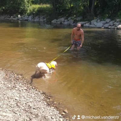 whiteboards88's profile picture. 