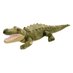 Amygator 🐊 *not an actual alligator Profile picture