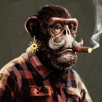 CryptoGrodd. (@groddfcrypto) 's Twitter Profile