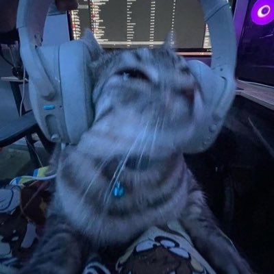 ky3ran's profile picture. he/him