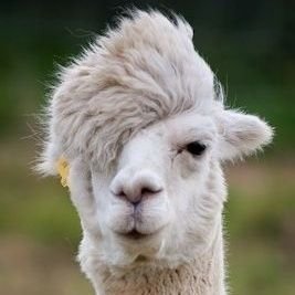 EkremHuseynzad1's profile picture. Life