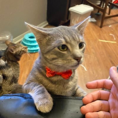 日本からマウスとキボドプレイヤです。🇯🇵- お時間をとらせて、済みませんでした 。 YT- https://t.co/EOGhi9fWgV