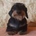 Egor Tilitsyn (@extr111ze) Twitter profile photo Egor Tilitsyn (@extr111ze) Twitter profile photo