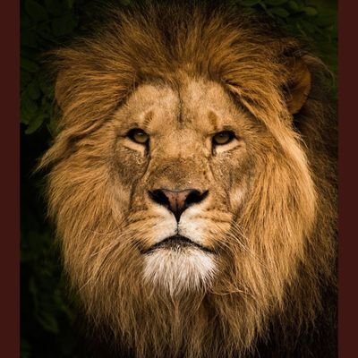 JustMeCruzing's profile picture. Proud Canadian, Strong morals, God first. Traveling East.